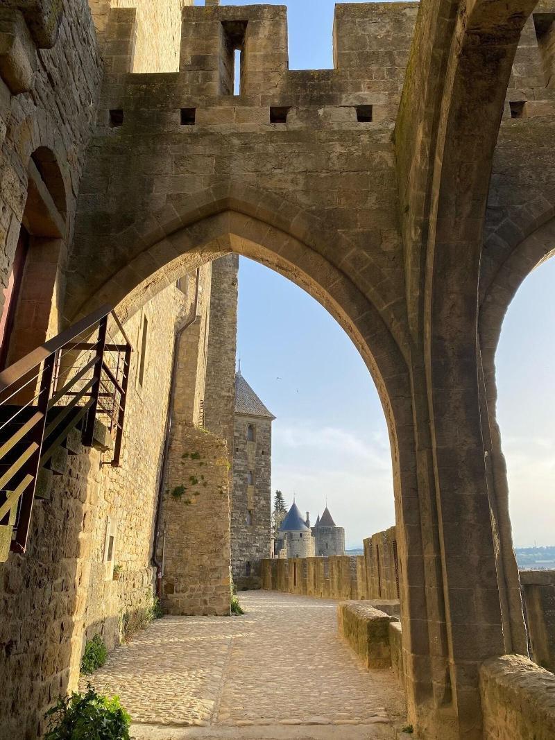Vue Sur Cite - Spa Carcassonne Exteriör bild